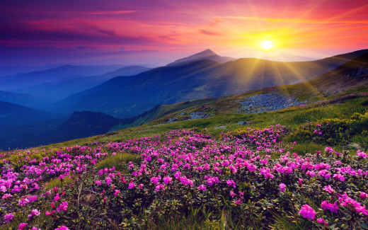 663213 (a): :2560x1600